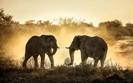 3 Days Amboseli National Park Safari