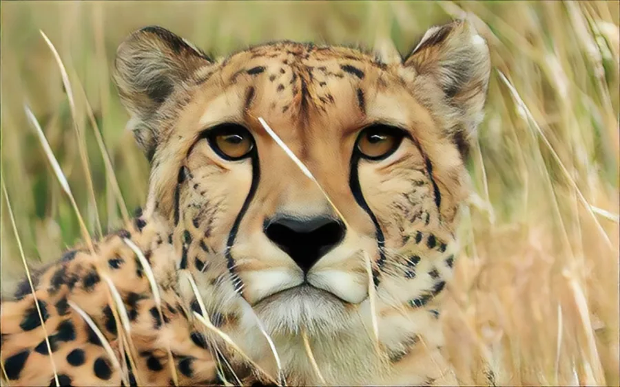 7-Day Exploring Magical Kenya