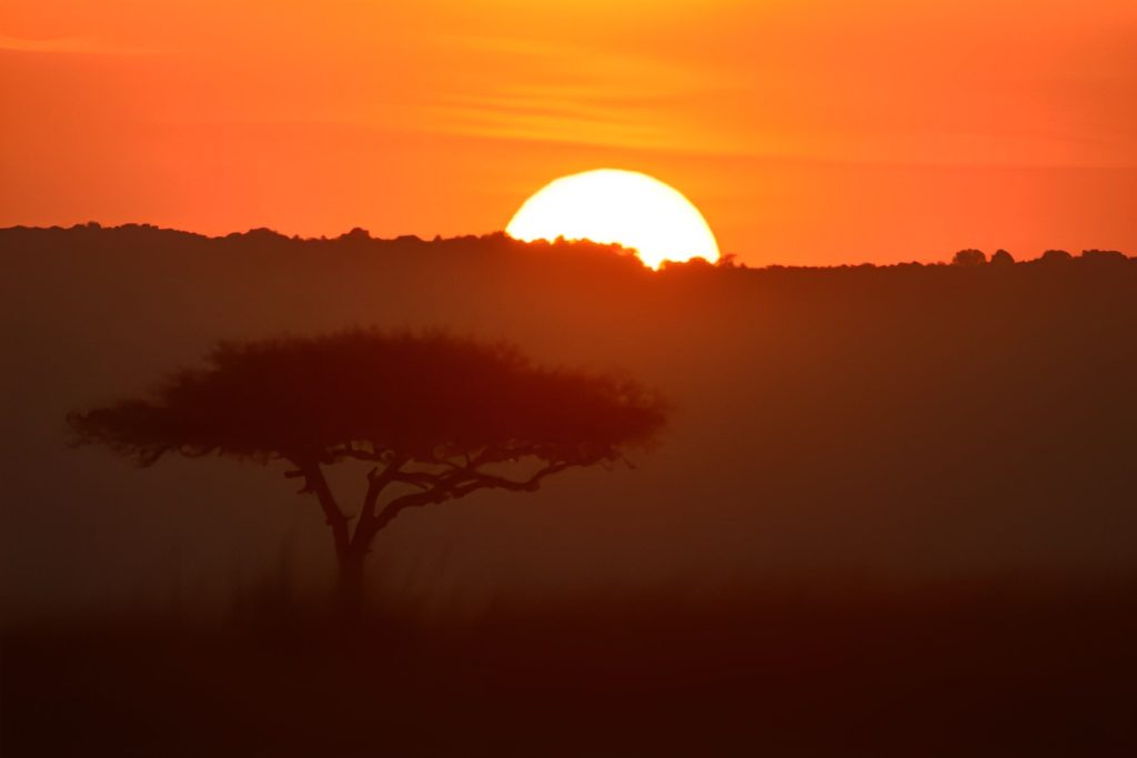 Mara Bush & Diani Beach Escape