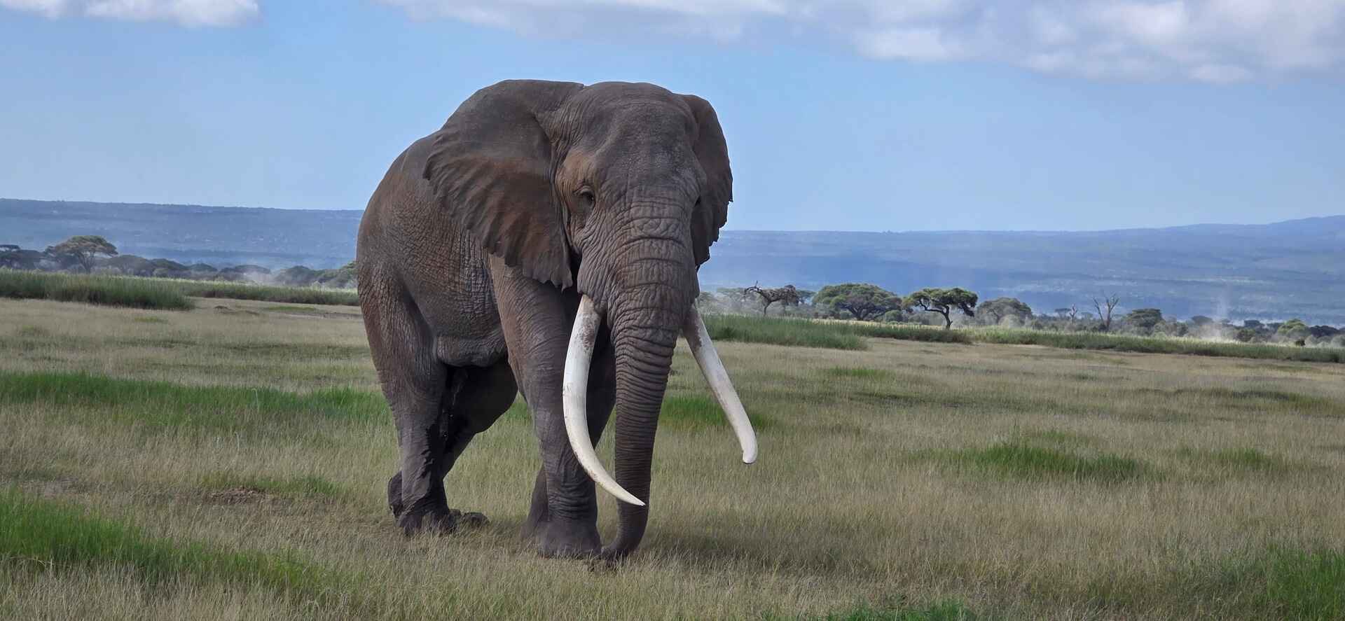8-Day Signature Journey of Wildlife, Wilderness & Coastal Luxury safari image